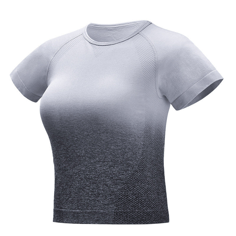 Seamless Gradient Crop Top