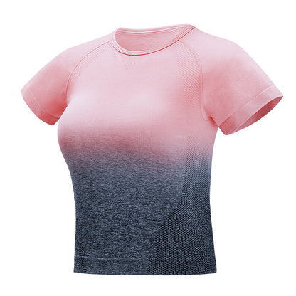 Seamless Gradient Crop Top