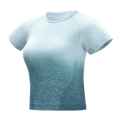 Seamless Gradient Crop Top
