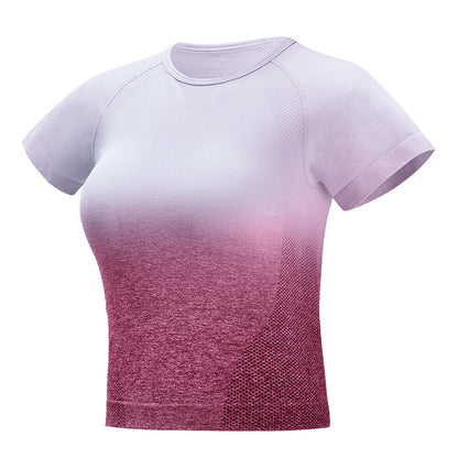 Seamless Gradient Crop Top